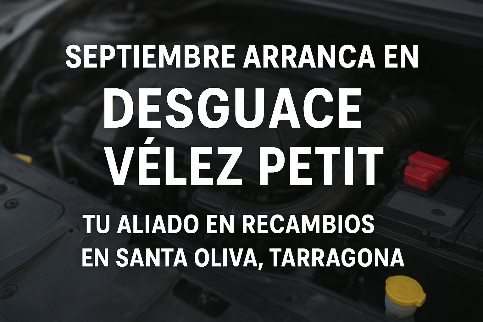 RECAMBIOS DESGUACE VELEZ PETIT